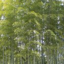 글라스TOP 이미지