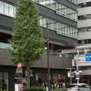 유명카 | [후쿠오카 하카타 다코멧카]하카타 유명 빵집 평일 웨이팅 후기