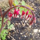 사계절 농장 이미지