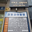 [부산 해운대] 호로록망고사고 솔직후기(신선한 생망고 과육을 느낄수 있는곳 !!)