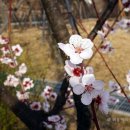 수원시 시설관리공단 | 캠핑 :: 경기도 수원 캠핑장 / 수원 광교 호수공원 가족캠핑장 이용후기