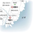 비밀의 문 이미지