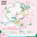소정마을청년회 | 3월 광양매화축제 매화마을 주말 나들이(주차 꿀팁, 먹거리, 2024.03.09 실시간)