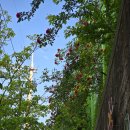 크린위드광주 이미지