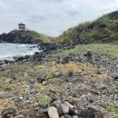 신촌리 자연대보 옆 | 제주 올레길 18코스 역방향 완주 후기 - 소요시간 난이도 가볼만한곳 삼양해수욕장 사라봉