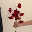 오렌즈부천점 | 26년 멜린 스튜디오 웨딩촬영 후기