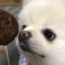 제리식탁 이미지