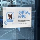 매너독반려견교육센터 | 강아지가 더 좋아하는 구리 강아지 유치원 독투독 전문 훈련사 상주 교육 내돈내산