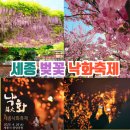 양평사 | 세종 가볼만한곳 베어트리파크 봄꽃축제 세종시 벚꽃명소 세종낙화축제 기본정보