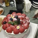 핀콕트래비즈