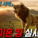 영화- 라이온킹 이미지