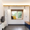 불란지스테이 이미지