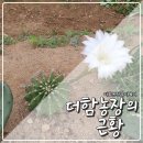 더함농장 이미지