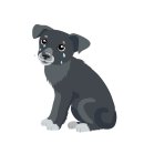 교대동물병원 이미지