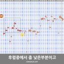 콩뮤직 엔터테인먼트
