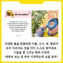 허니비프로젝트 이미지