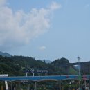 충북 단양 애견동반 패러글라이딩 솔직후기, 더쎈패러글라이딩