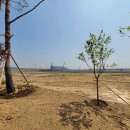 타운약국 이미지