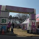 서둔로 | 수원 아이와 가볼만한곳 경기상상캠퍼스 봄페스타 후기