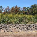 노리매공인중개사사무소 이미지