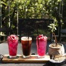 나남수목원(책박물관) 이미지