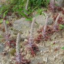 시골정취 이미지