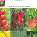 병팔농장 이미지