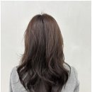 더 아트 헤어 네이버블로그