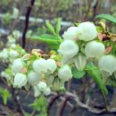 양강농장 이미지