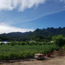 용화보건지소 이미지