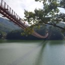 출렁다리 카페 이미지