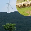 우천목장 이미지