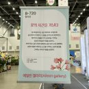 2024년 제15회 대구 꽃박람회 후기