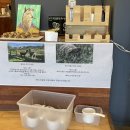 카페포레스트(cafe for:rest) | 고성 포레스트 카페 (FOR REST CAFE) /강원도 고성 파충류 , 체험형 카페