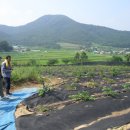 반장농장 이미지