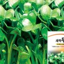 농업회사법인 새싹주식회사 이미지