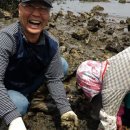 고대도5 이미지