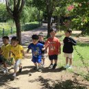 9/4일 텃밭활동(씨 뿌리기)&amp; 공원산책&amp; 오후 거품놀이🫧 이미지