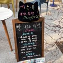 (주)더베이커리랩 | 분위기 좋은 백현동카페거리카페 인더랩 베이커리 바게트 맛집 후기