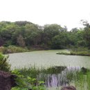 동산동신 이미지