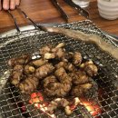 힘센장어.꼼장어