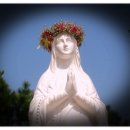 뽑기동산 이미지