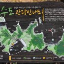 신수도 대구동 티스토리