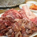 화끈한갈매기 이미지