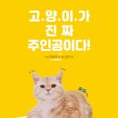 나만없어고양이 이미지