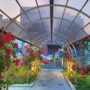 보광어린이집 이미지