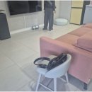 더블루네스 이미지