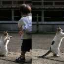 가필드 Daum카페