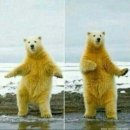복*서 이미지