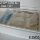 영송농장 이미지